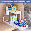 UNDER the Sink 2-Tier Pull-Out Organizer