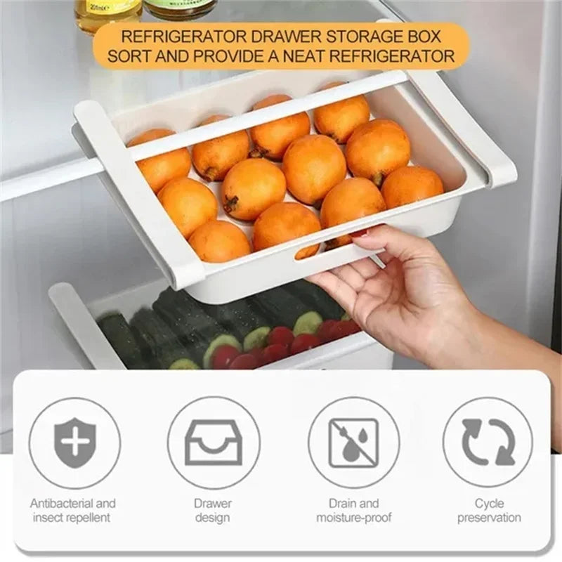 UNDER your Eggs Storage Box — Holds 14 Eggs, Reversible